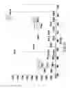 Fig. 03 - Method for detecting molecules through mass spectrometry