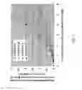 Fig. 08 - Multiple-pole electrostatic deflector for improving throughput of focused electron beam instruments