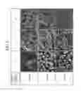 Fig. 06 - Ccube with enhanced photoluminescence and method for preparing the same
