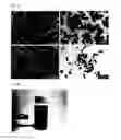 Fig. 02 - Nano-sized melanin particles and method of producing same