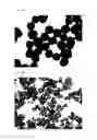 Fig. 07 - Nano-sized melanin particles and method of producing same