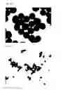 Fig. 08 - Nano-sized melanin particles and method of producing same