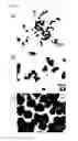 Fig. 09 - Nano-sized melanin particles and method of producing same