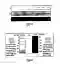 Fig. 13 - Self indicating radiation alert dosimeter