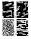Fig. 05 - High efficiency broadband semiconductor nanowire devices and methods of fabricating without foreign catalysis