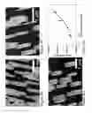 Fig. 06 - High efficiency broadband semiconductor nanowire devices and methods of fabricating without foreign catalysis