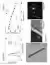 Fig. 07 - High efficiency broadband semiconductor nanowire devices and methods of fabricating without foreign catalysis