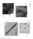 Fig. 12 - High efficiency broadband semiconductor nanowire devices and methods of fabricating without foreign catalysis
