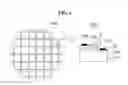 Fig. 04 - FLIP CHIP LIGHT EMITTING DEVICE PACKAGE AND MANUFACTURING METHOD THEREOF