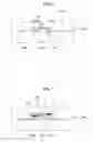 Fig. 06 - FLIP CHIP LIGHT EMITTING DEVICE PACKAGE AND MANUFACTURING METHOD THEREOF
