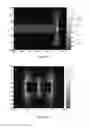Fig. 06 - Plasmonic detector and method for manufacturing the same