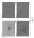 Fig. 07 - Seed layer passivation