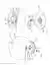 Fig. 03 - Waterfall decorative humidifier