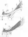 Fig. 40 - Method for growing carbon nanotube forests, and generating nanotube structures therefrom, and apparatus
