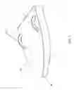 Fig. 02 - Device for steering a toboggan