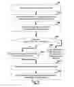 Fig. 04 - Financial Instrument for a Monetary Transaction System and Method