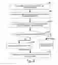 Fig. 20 - Financial Instrument for a Monetary Transaction System and Method