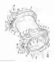 Fig. 02 - Split-ring gland pipe coupling with corrugated armor
