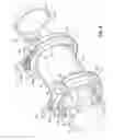Fig. 03 - Split-ring gland pipe coupling with corrugated armor