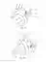 Fig. 07 - Rolling car seat