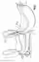 Fig. 02 - Adjustable supporting bracket for motorcycle backrest