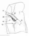 Fig. 01 - Passenger Restraint Attachment