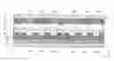 Fig. 01 - EL display panel, EL display device provided with EL display panel, organic EL display device, and method for manufacturing EL display panel