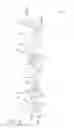 Fig. 03 - AR GLASSES WITH EVENT AND SENSOR INPUT TRIGGERED USER ACTION CAPTURE DEVICE CONTROL OF AR EYEPIECE FACILITY