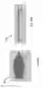 Fig. 113 - AR GLASSES WITH EVENT AND SENSOR INPUT TRIGGERED USER ACTION CAPTURE DEVICE CONTROL OF AR EYEPIECE FACILITY
