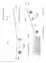 Fig. 119 - AR GLASSES WITH EVENT AND SENSOR INPUT TRIGGERED USER ACTION CAPTURE DEVICE CONTROL OF AR EYEPIECE FACILITY