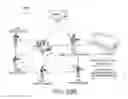Fig. 46 - AR GLASSES WITH EVENT AND SENSOR INPUT TRIGGERED USER ACTION CAPTURE DEVICE CONTROL OF AR EYEPIECE FACILITY