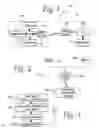 Fig. 02 - Wireless file transmission