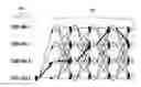 Fig. 01 - Method for Generating Virtual Images of Scenes Using Trellis Structures