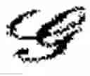Fig. 03 - Robotic texture