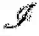 Fig. 04 - Robotic texture