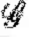 Fig. 12 - Robotic texture