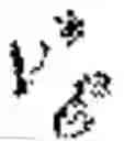 Fig. 19 - Robotic texture