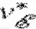Fig. 20 - Robotic texture