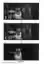 Fig. 07 - Color waveform