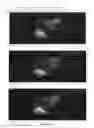 Fig. 69 - Color waveform