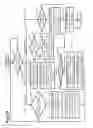 Fig. 11 - Image division process and display apparatus
