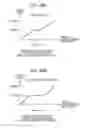 Fig. 29 - Variable display scale control device and variable playing speed control device