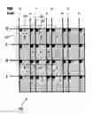 Fig. 01 - Display panel having crossover connections effecting dot inversion