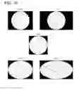 Fig. 08 - Omni-directional camera and related viewing software