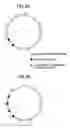 Fig. 09 - Examination device and examination method