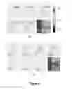 Fig. 07 - High-Resolution Laser Induced Breakdown Spectroscopy Devices and Methods
