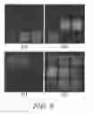 Fig. 09 - Photonic crystal spectrometer