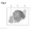 Fig. 04 - Relief pattern detection device