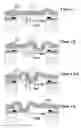 Fig. 01 - DEVICE FOR REDUCING SPECKLE EFFECT IN A DISPLAY SYSTEM