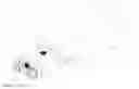 Fig. 01 - BINOCULARS WITH INTEGRATED LASER DESIGNATOR/ILLUMINATOR FOR ILLUMINATING AN OPTICAL FIELD OF VIEW